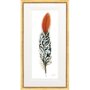 KS- PHEASANT FEATHER 2